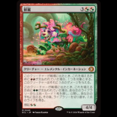 画像1: 鮮麗/Vibrance [ECL]