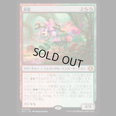 画像1: 鮮麗/Vibrance [ECL]