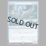 刻み群れ/Sunderflock [ECL]