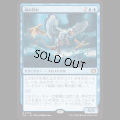 画像1: 刻み群れ/Sunderflock [ECL]