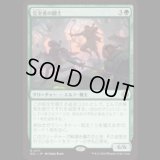 完全者の闘士/Champions of the Perfect [ECL]