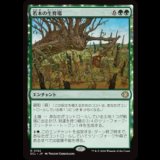 若木の生育場/Sapling Nursery [ECL]