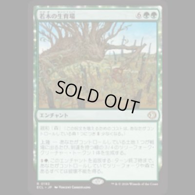 画像1: 若木の生育場/Sapling Nursery [ECL]