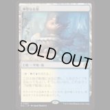 神聖なる泉/Hallowed Fountain [ECL]