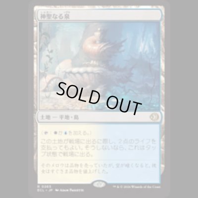 画像1: 神聖なる泉/Hallowed Fountain [ECL]