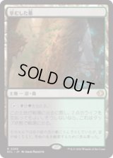 草むした墓/Overgrown Tomb [ECL]