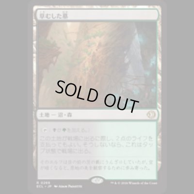 画像1: 草むした墓/Overgrown Tomb [ECL]