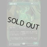 威厳の魔力/Regal Force [ECLSPG]