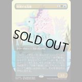 発現する浅瀬/Risen Reef [ECLSPG]