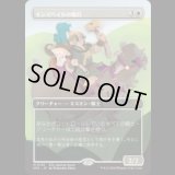 キンズベイルの騎兵/Kinsbaile Cavalier [ECLSPG]