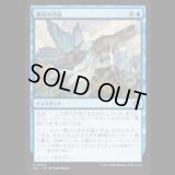 凍炎の冷気/Rime Chill [ECL]