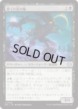 節くれ皮の楡/Gnarlbark Elm [ECL]