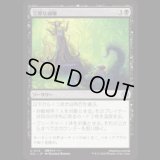 完璧な威嚇/Perfect Intimidation [ECL]