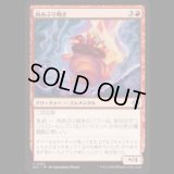 肉あぶり鳴き/Squawkroaster [ECL]