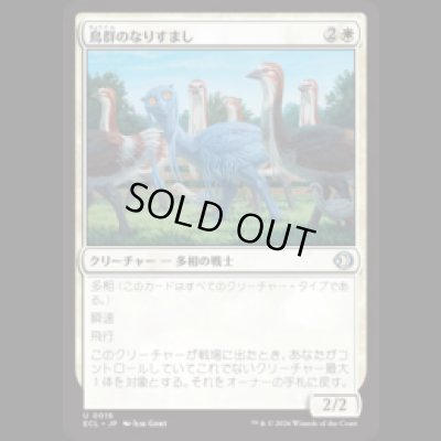 画像1: 鳥群のなりすまし/Flock Impostor [ECL]