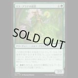 リス・アラナの高官/Lys Alana Dignitary [ECL]