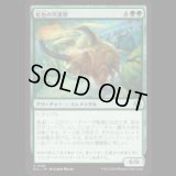 虹色の突進獣/Prismabasher [ECL]