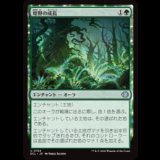 煌野の成長/Shimmerwilds Growth [ECL]