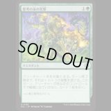 思考の糸の突撃/Thoughtweft Charge [ECL]