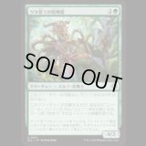 ツタ育ての喧嘩屋/Vinebred Brawler [ECL]