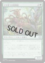 ツタ育ての喧嘩屋/Vinebred Brawler [ECL]