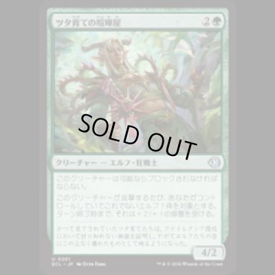 画像1: ツタ育ての喧嘩屋/Vinebred Brawler [ECL]