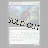 蝕甚化したエルフ/Eclipsed Elf [ECL]