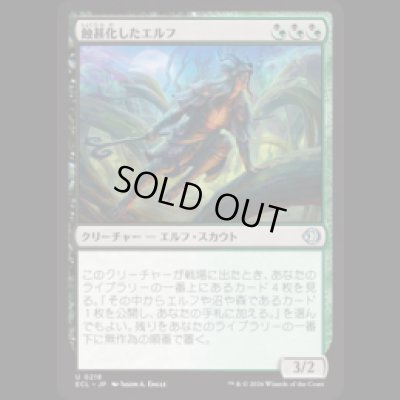 画像1: 蝕甚化したエルフ/Eclipsed Elf [ECL]