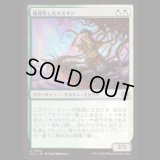 蝕甚化したキスキン/Eclipsed Kithkin [ECL]