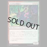 ノッグルの物盗り/Noggle Robber [ECL]