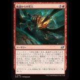 軌道からの突入/Orbital Plunge [EOE]