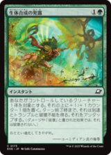 生体合成の発露/Biosynthic Burst [EOE]