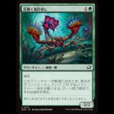 花開く毒針刺し/Blooming Stinger [EOE]