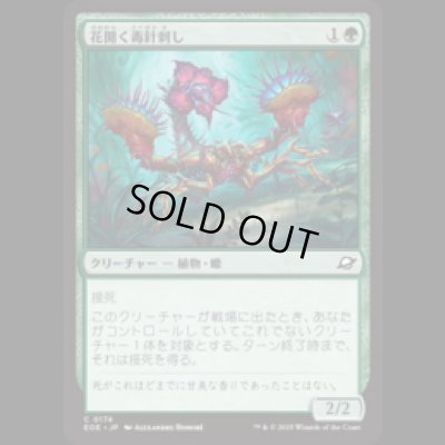 画像1: 花開く毒針刺し/Blooming Stinger [EOE]