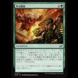 外交関係/Diplomatic Relations [EOE]