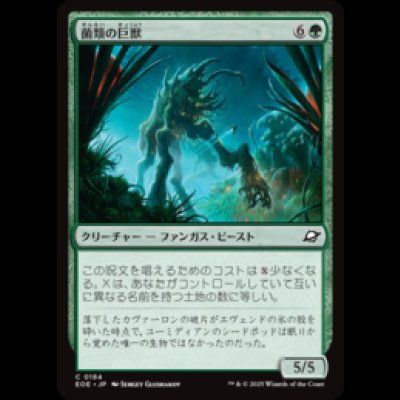 画像1: 菌類の巨獣/Fungal Colossus [EOE]