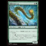 発芽するワーム/Germinating Wurm [EOE]