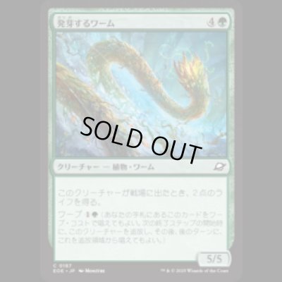 画像1: 発芽するワーム/Germinating Wurm [EOE]