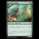 恐れ知らずの新参虫/Intrepid Tenderfoot [EOE]