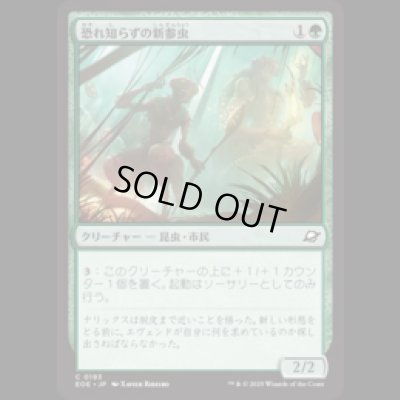 画像1: 恐れ知らずの新参虫/Intrepid Tenderfoot [EOE]