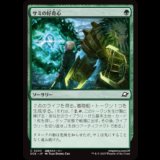 サミの好奇心/Sami's Curiosity [EOE]