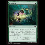 砕かれた翼/Shattered Wings [EOE]