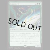 ウロボロイド/Ouroboroid [EOE]