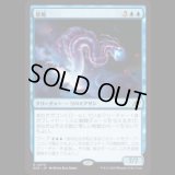 星蛇/Starwinder [EOE]