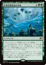 生体技術化後の未来/Bioengineered Future [EOE]