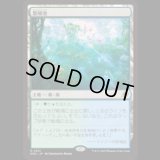 繁殖池/Breeding Pool [EOE]