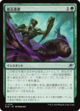 接近遭遇/Close Encounter [EOE]