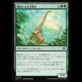 調和する木立跨ぎ/Harmonious Grovestrider [EOE]