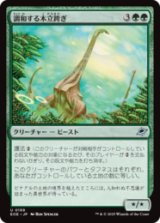 調和する木立跨ぎ/Harmonious Grovestrider [EOE]