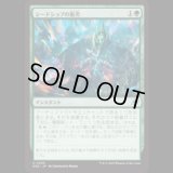 シードシップの衝突/Seedship Impact [EOE]